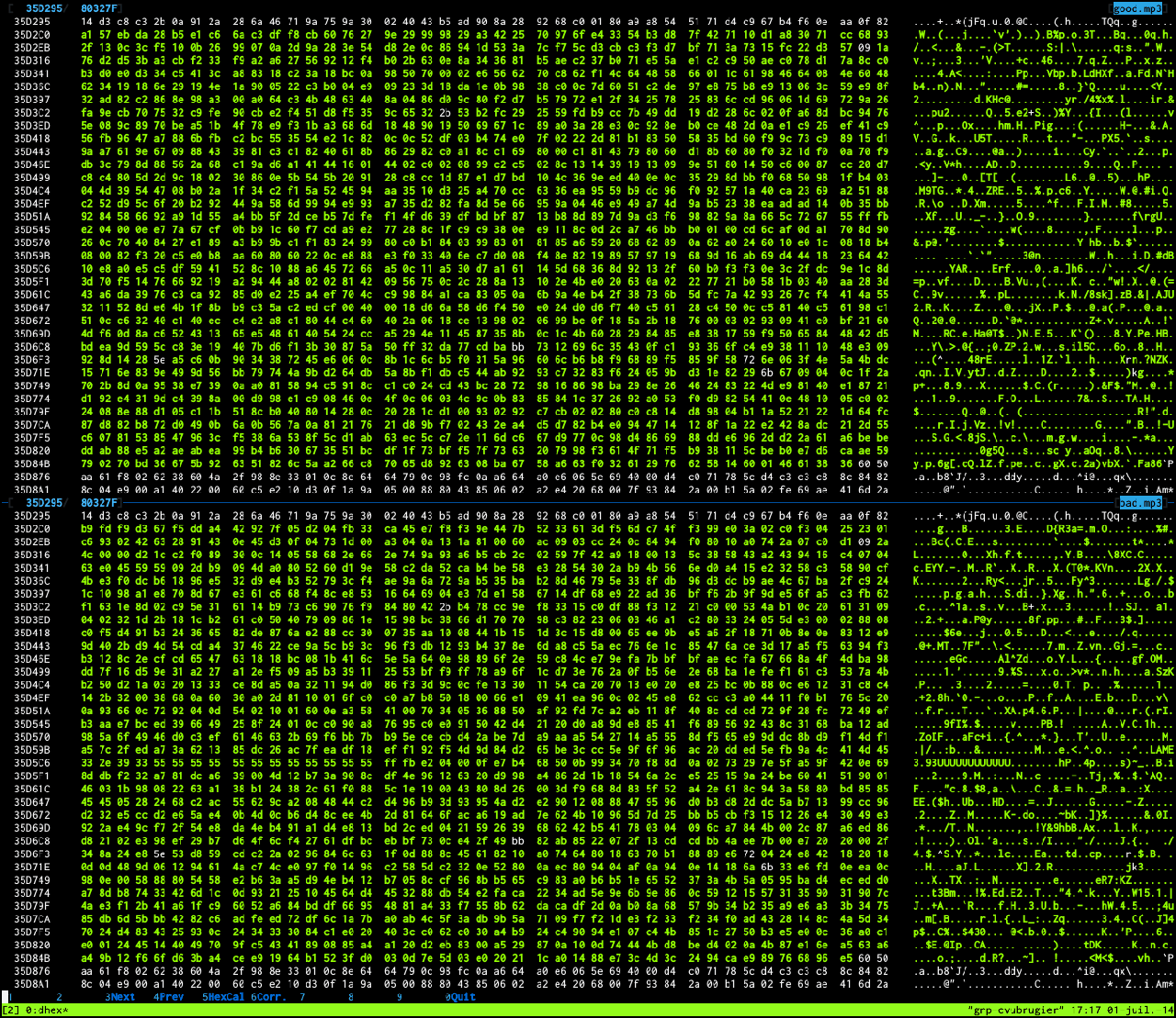 dhex showing differing bytes between two binary files